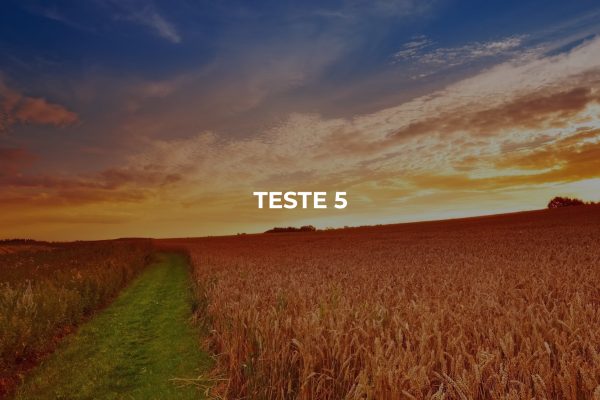 SobreNos_ImagemTeste5